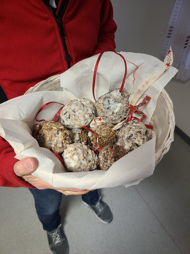 Fertig hergestellte Vogelfutterzapfen im Korb.