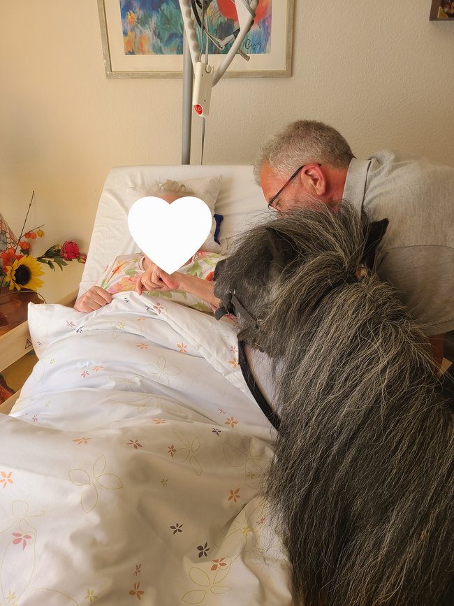 Pony Ilbao besucht auch eine Bewohnerin am Bett.