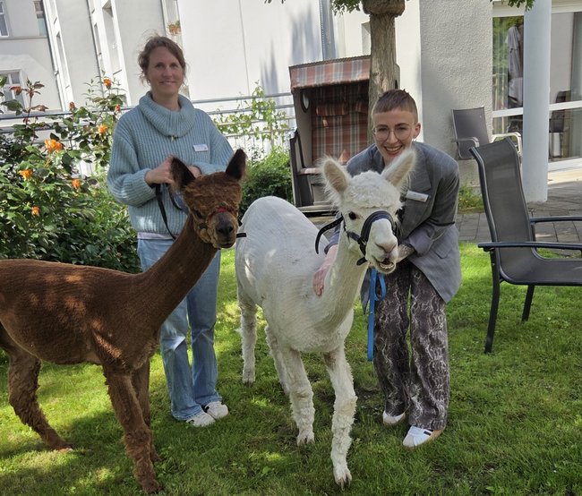 Ein braunes und ein weißes Alpaka mit zwei lachenden Mitarbeiterinnen des Sozialen Dienstes im Garten.