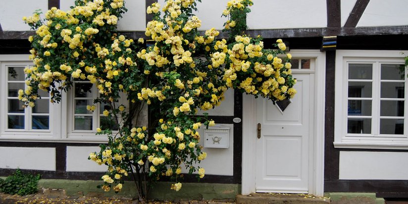 Haustür eines Fachwerkhauses in Soest.